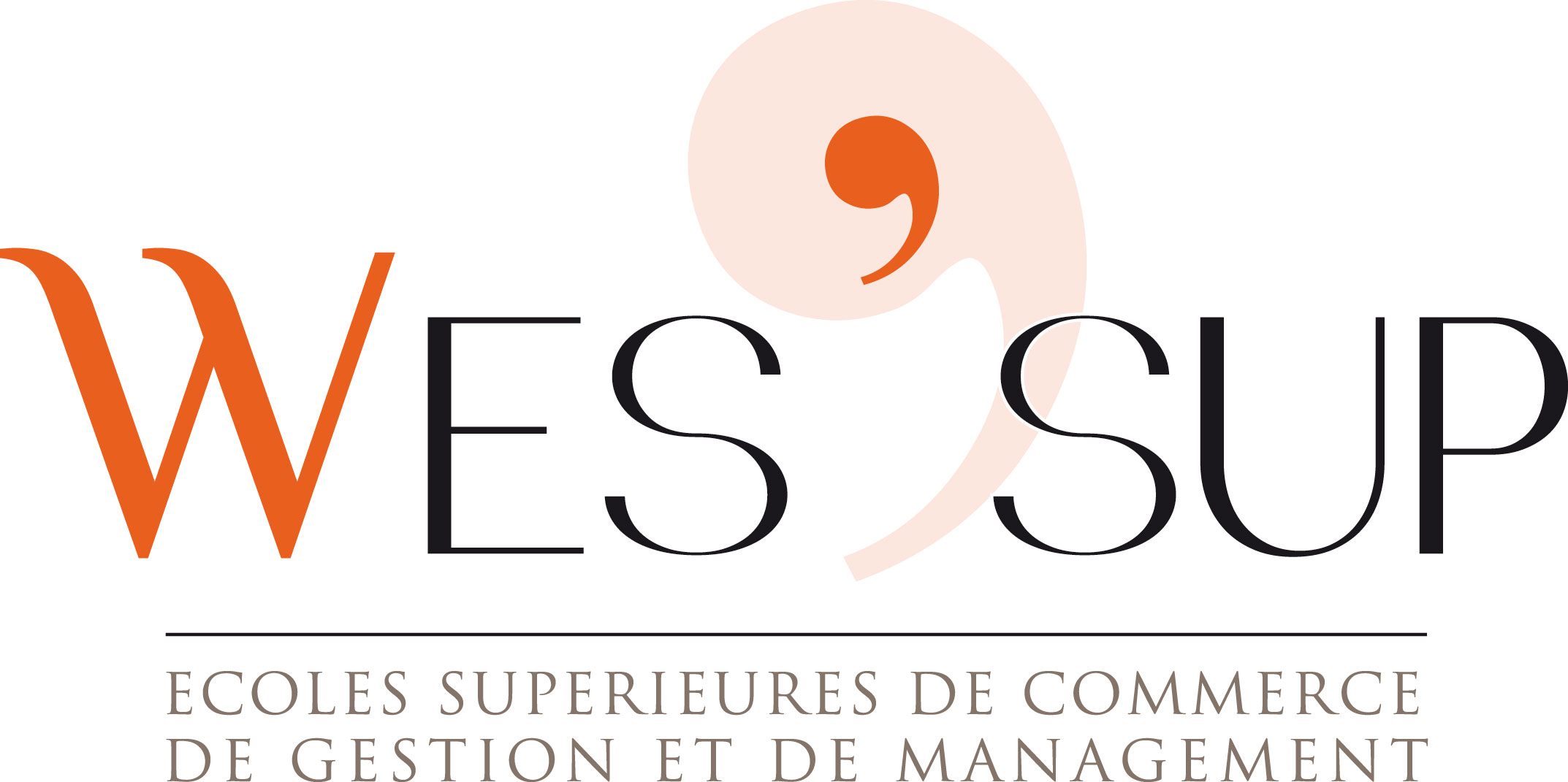WES'SUP Lyon Logo
